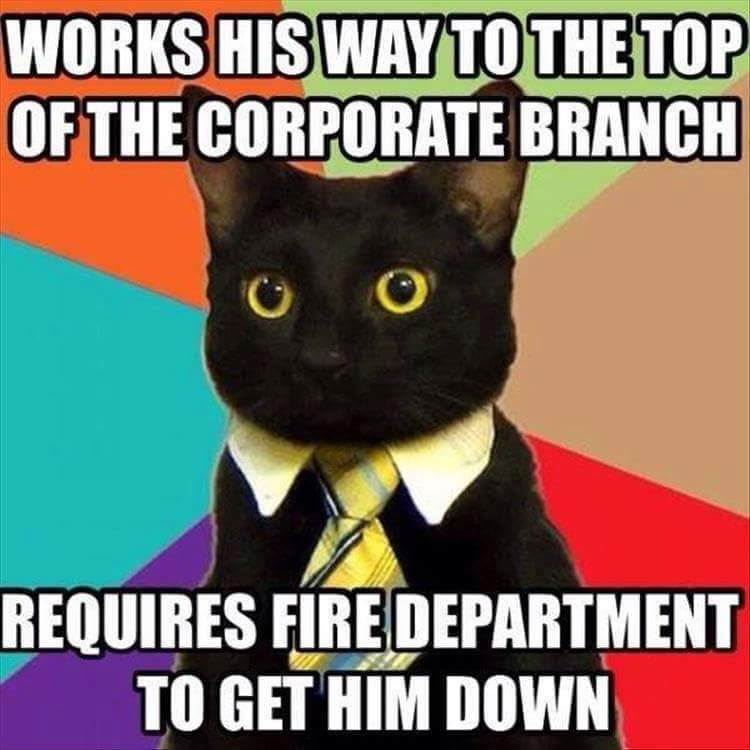 @Cat_Weasel <a href="/BeansyKitty/">Beansy Kitty</a> <a href="/Cooperscats/">Mrs C</a> <a href="/SamAnElla/">Da Toxic Twins</a> <a href="/FrufruB/">FrufruB</a> <a href="/Chavcat/">Juno🌈</a> <a href="/tiddlesfry/">tiddles</a>