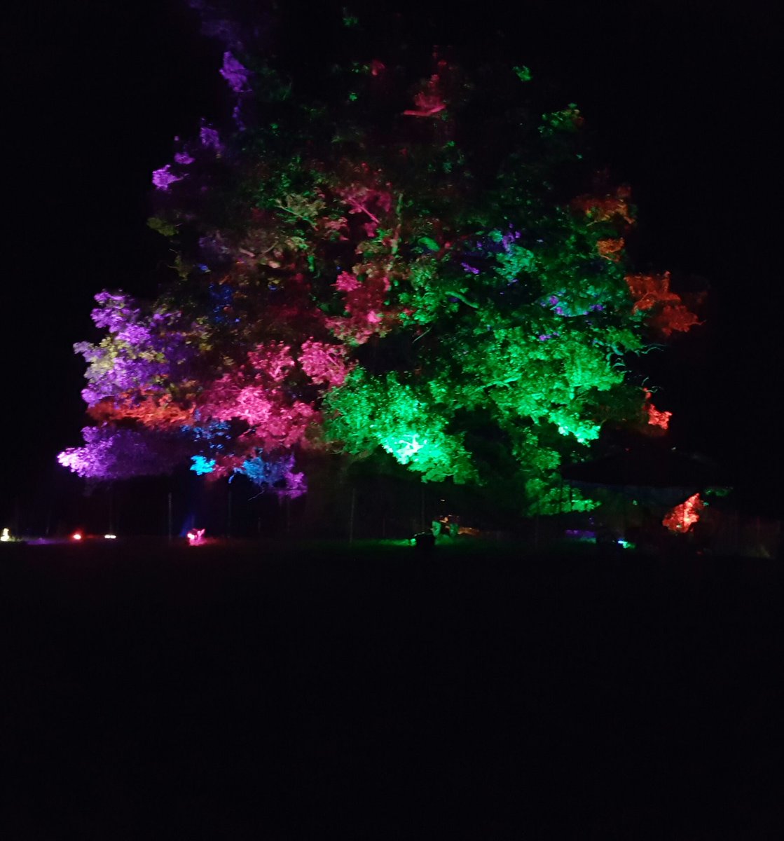 Dr_Archeville's tweet photo. Where is the lockn 2016 reunion festival happening in montreal? #lockn2016 #lockn #mtl https://t.co/p6jqtIAtFL