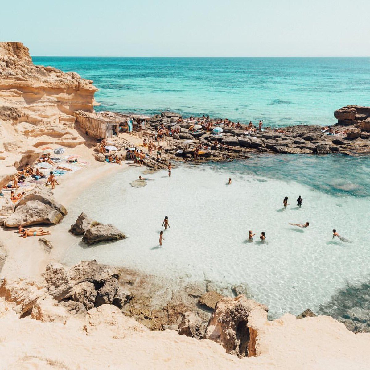 Tripstir app tweet media