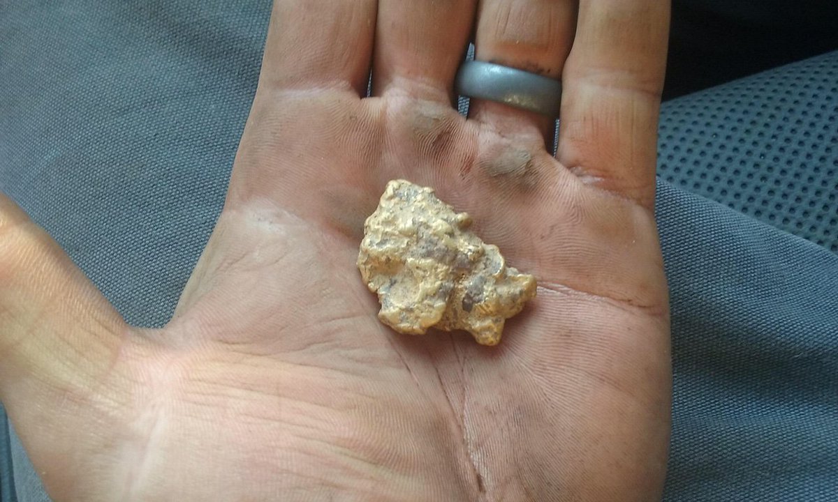 AZOutback's tweet image. A customer in CA recently scored this gorgeous 1+ ounce gold nugget with his Minelab GPX 5000 at a depth of 2 feet!