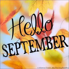 Data_Insights's tweet photo. Don’t let another month slip by without taking charge of your research! 877-437-8622 https://t.co/Bk8y7Arrkc