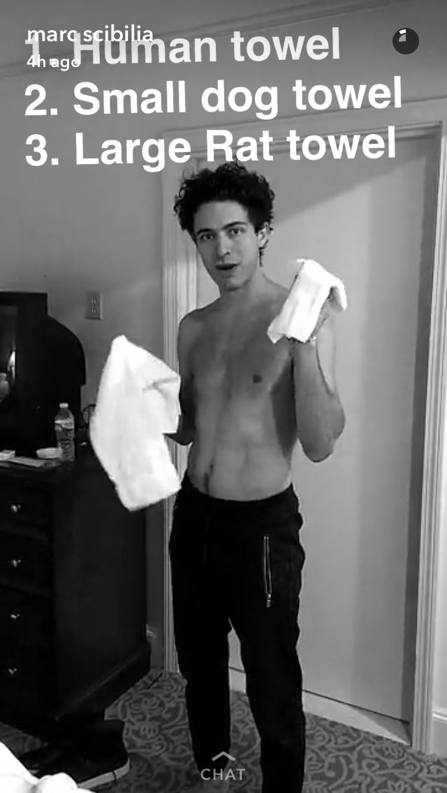 SCiBiLiAFANS's tweet photo. @marcscibilia is showing us the towel sizes available at his hotel on snapchat #human #smalldog #largerat π¦π»πΆπ https://t.co/k1eiCEzkH7