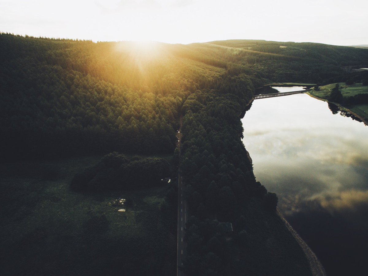 DanielCasson1's tweet image. Lens Flare