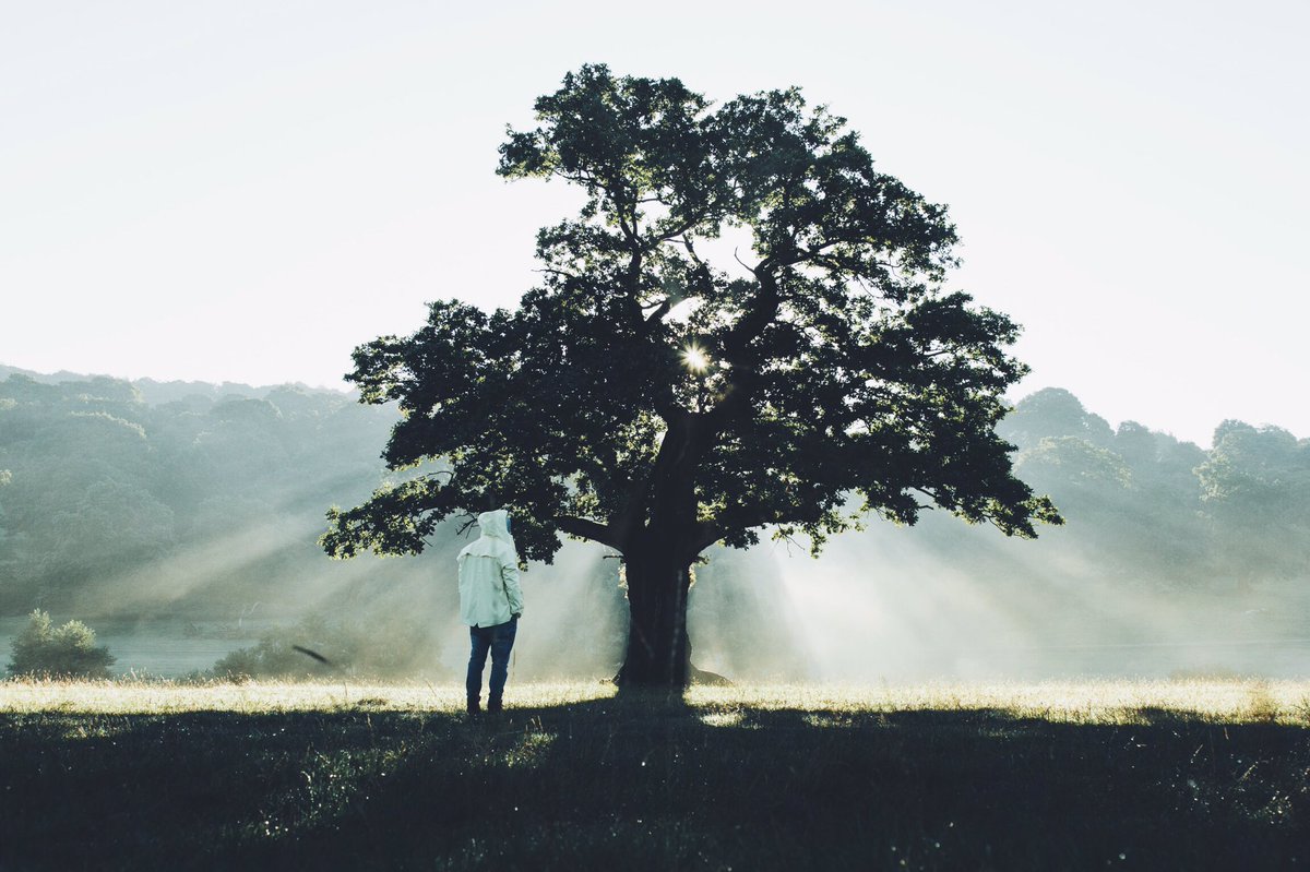 DanielCasson1's tweet image. Lens Flare