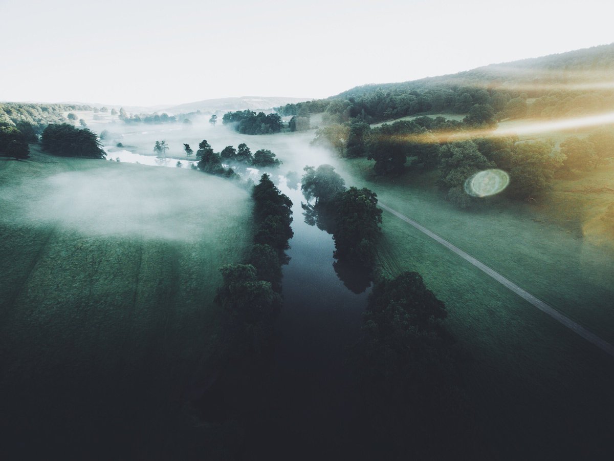 DanielCasson1's tweet image. Lens Flare