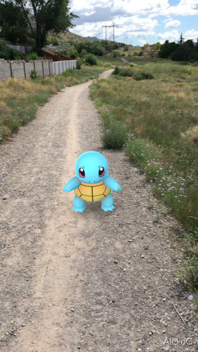 AlexGNop's tweet photo. It's finally happened! I got him!!! #squirttle #PokemonGO #TeamMystic #OhHappyDay https://t.co/PF8i6WR9PI