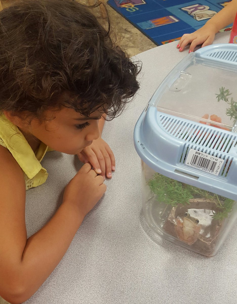 CarAndersonKW's tweet photo. It's always a special day when we find a new friend to welcome into the Jellyfish class! @ElisaJannes @KinderKaneKW https://t.co/Jc2dP0OZLG