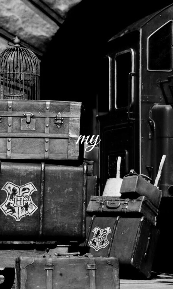 librosmagicos7's tweet image. On my way home 🚂❤️
#BackToHogwarts #ExpressoDeHogwarts @jk_rowling