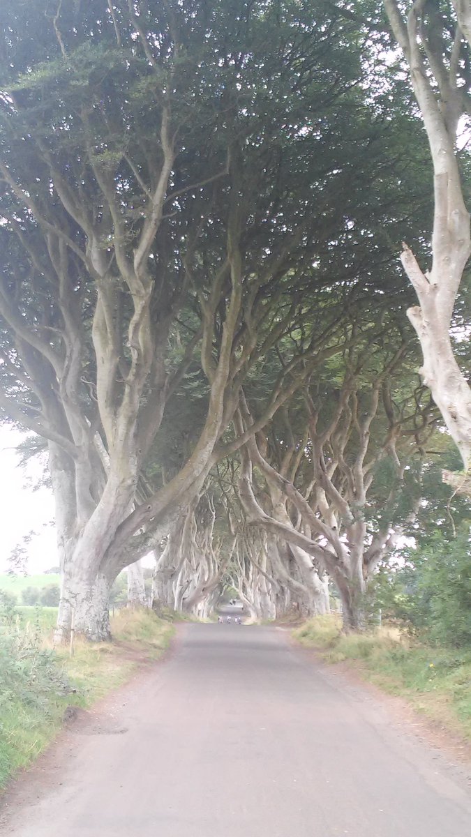 trip_and_notes's tweet photo. #IrlandaDelNord in tre scatti! https://t.co/qMqgg8AtkX