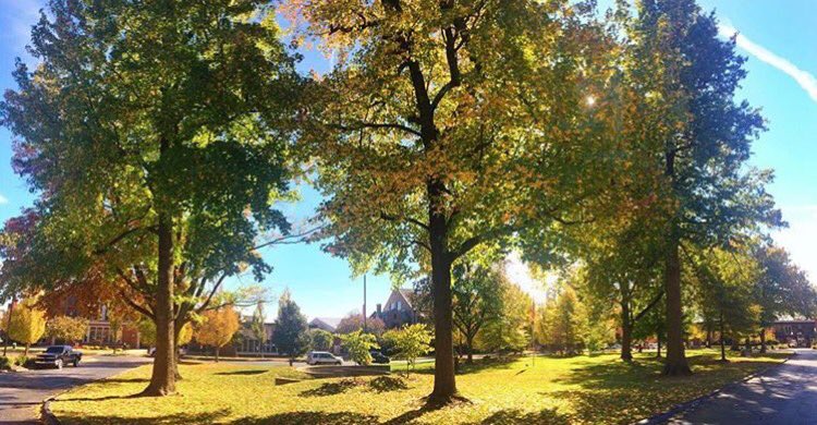 kylie_pfaff's tweet photo. What's better than Drury's campus during fall? #DUDoesFall https://t.co/4URK49swCa