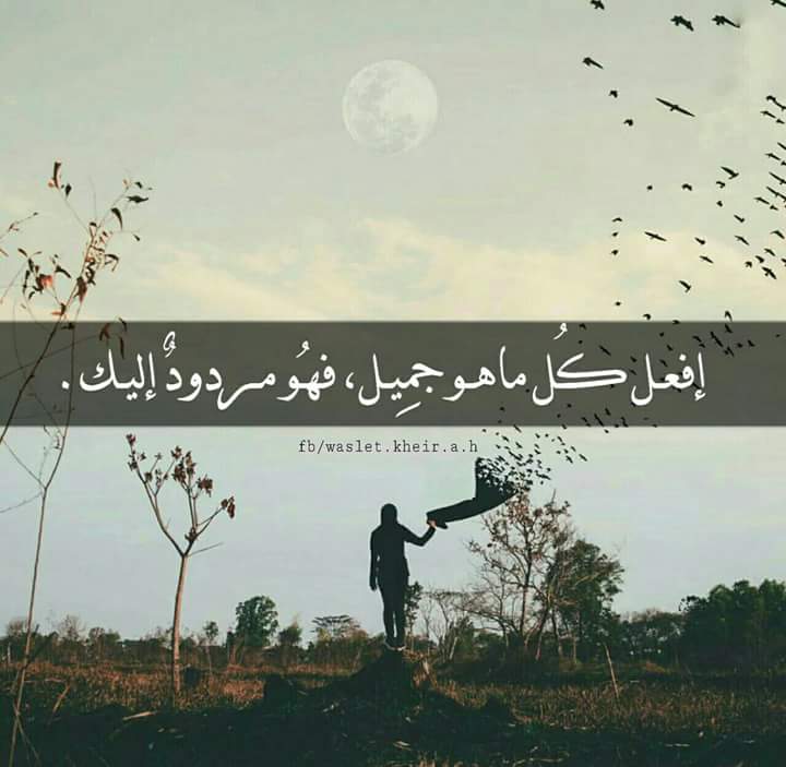 ORamdoo tweet picture