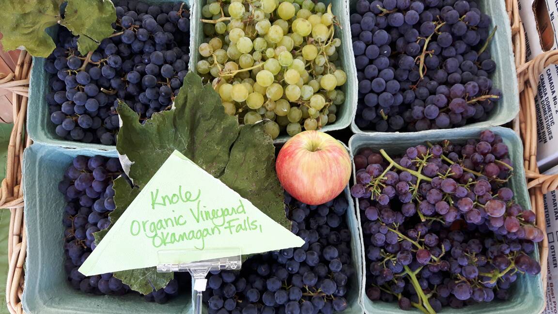 At Bridgeland Market today we have a fantastic variety of organic grapes! Come on down    from 3:30-7:30 to sample