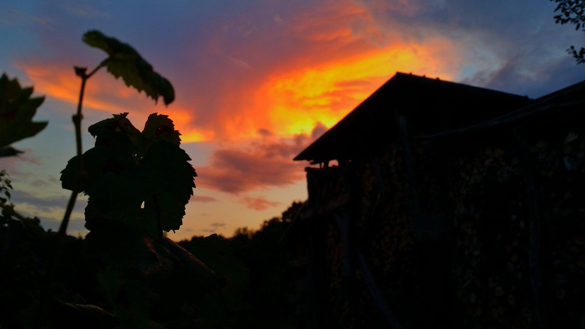 ilsettolo's tweet photo. #sunset over our #winery and #vineyards. #Valdobbiadene #ilsettolo https://t.co/oLNF2pAbfZ