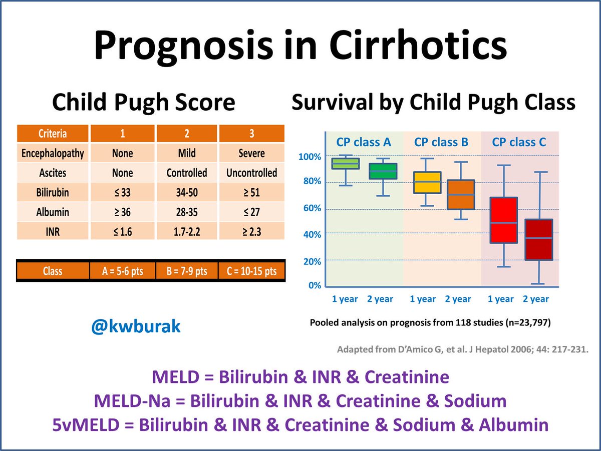 meld score 24 prognosis meld score 24 prognosis