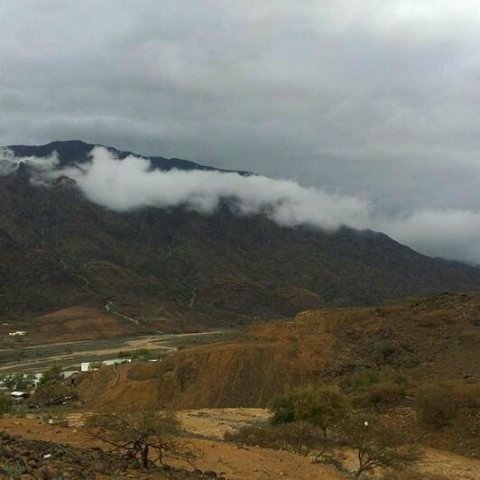 وادي الحفياء