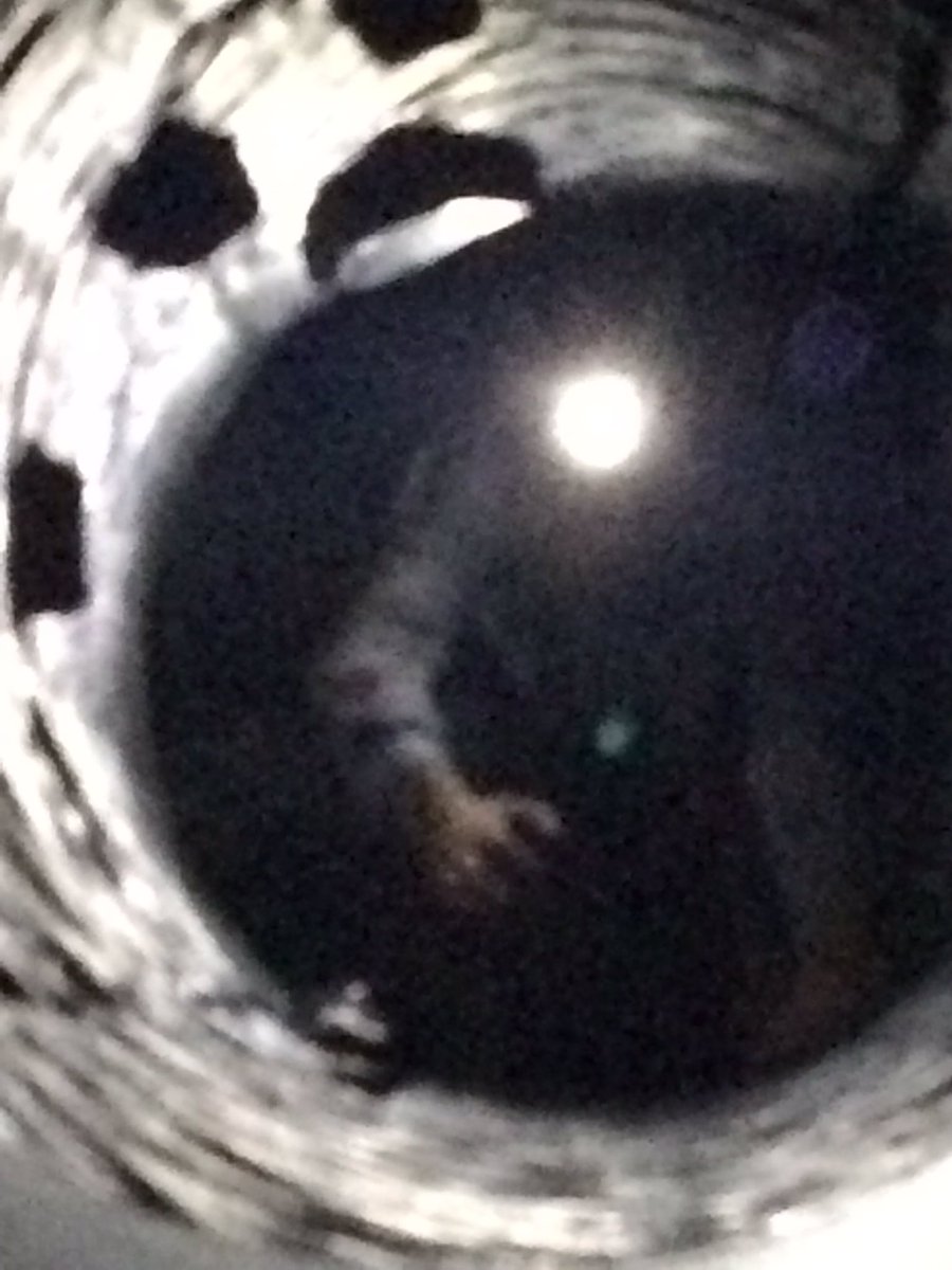 MobileCaving's tweet image. Funday at @PlattBridgeCC for their funday with #cave #archery @MountainMonkeys #wigan