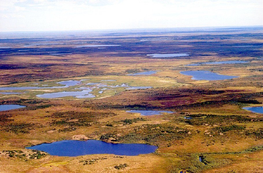 pnAPBio's tweet photo. Biome 5: Tundra https://t.co/fHQkKdqVrY @drtryan #2016RangerBio August 5, 2000 https://t.co/OHTNLfWAjl