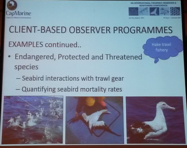 DrYunaKim's tweet photo. Victor NGCONGO acknowledged @BirdLife_SA identifying #seabird issue in SA hake trawl fisheries #ifomc8 https://t.co/n1UGHazkdn