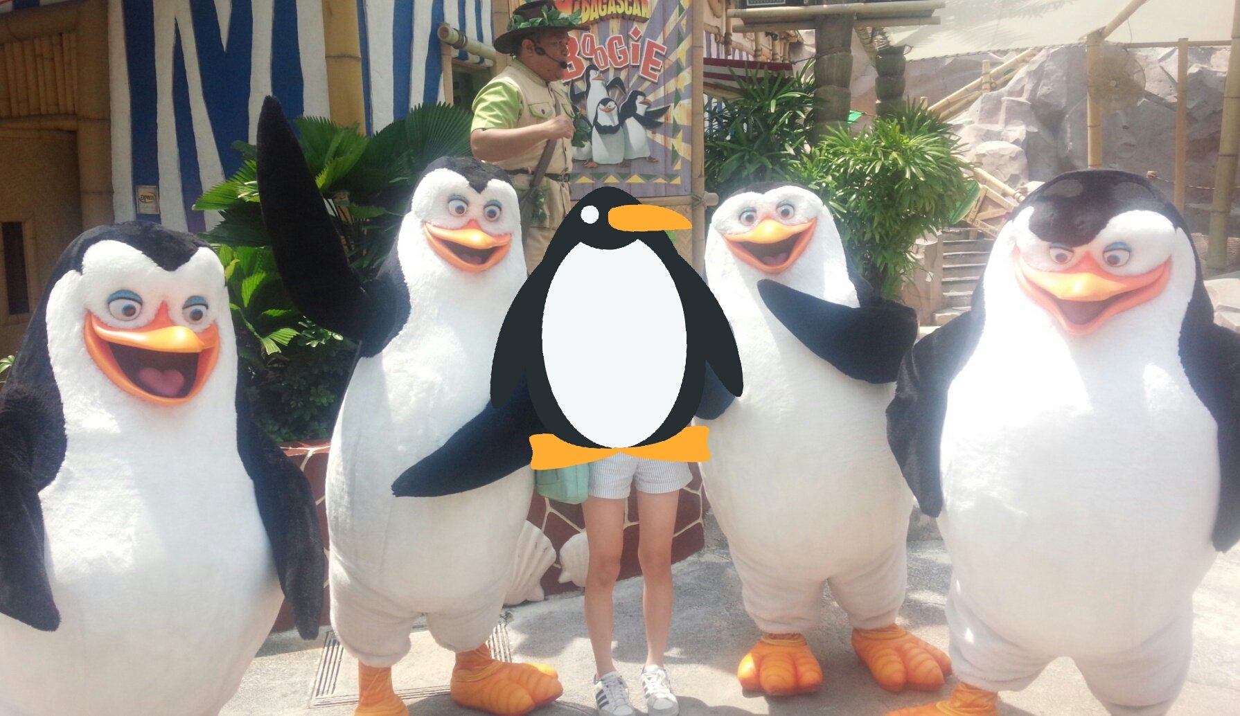 N M なんでユニバーサルスタジオジャパンにペンギンズがいないんだろう 世界でユニバーサルスタジオシンガポールにしか ペンギンズがいないなんて 日本に着てくれないかな N M なんでユニバーサルスタジオジャパンにペンギンズがいないんだろう 世界でユニバーサルスタジオシンガポールにしか ペンギンズがいないなんて 日本に着てくれないかな