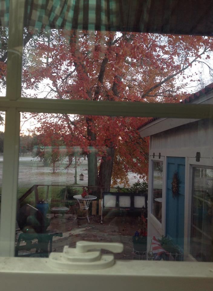 TQueenStudio's tweet image. Fall Season is here! queenstudio.net/2016/09/01/fal…