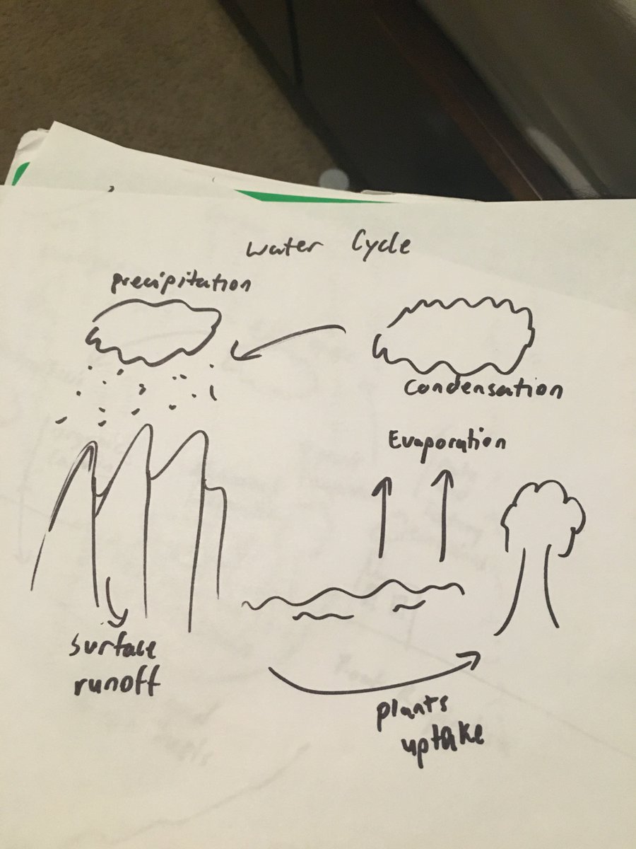 pnAPBio's tweet photo. biogeochemical cycle 2: water cycle. @drtryan #2016RangerBio https://t.co/xoAEPtSJVP