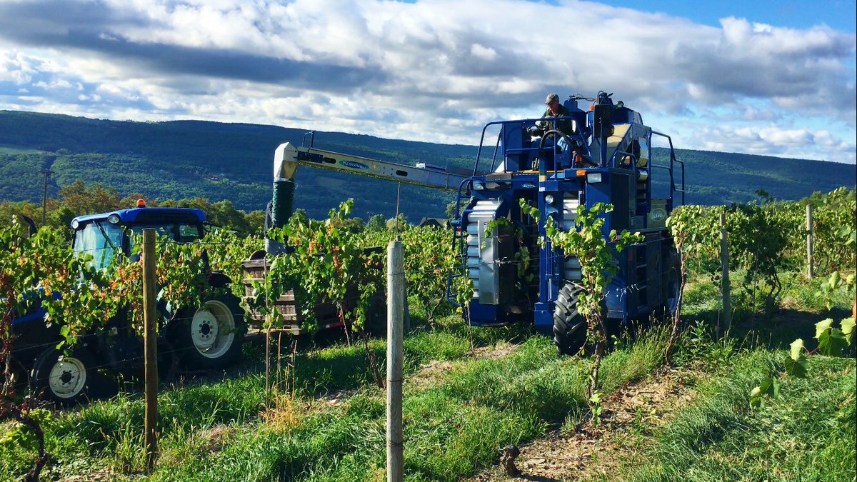 Bully Hill Vineyards tweet media