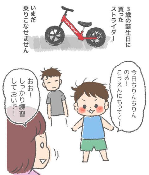 ブログ更新です！ そまのブログ : ストライダー後日談  