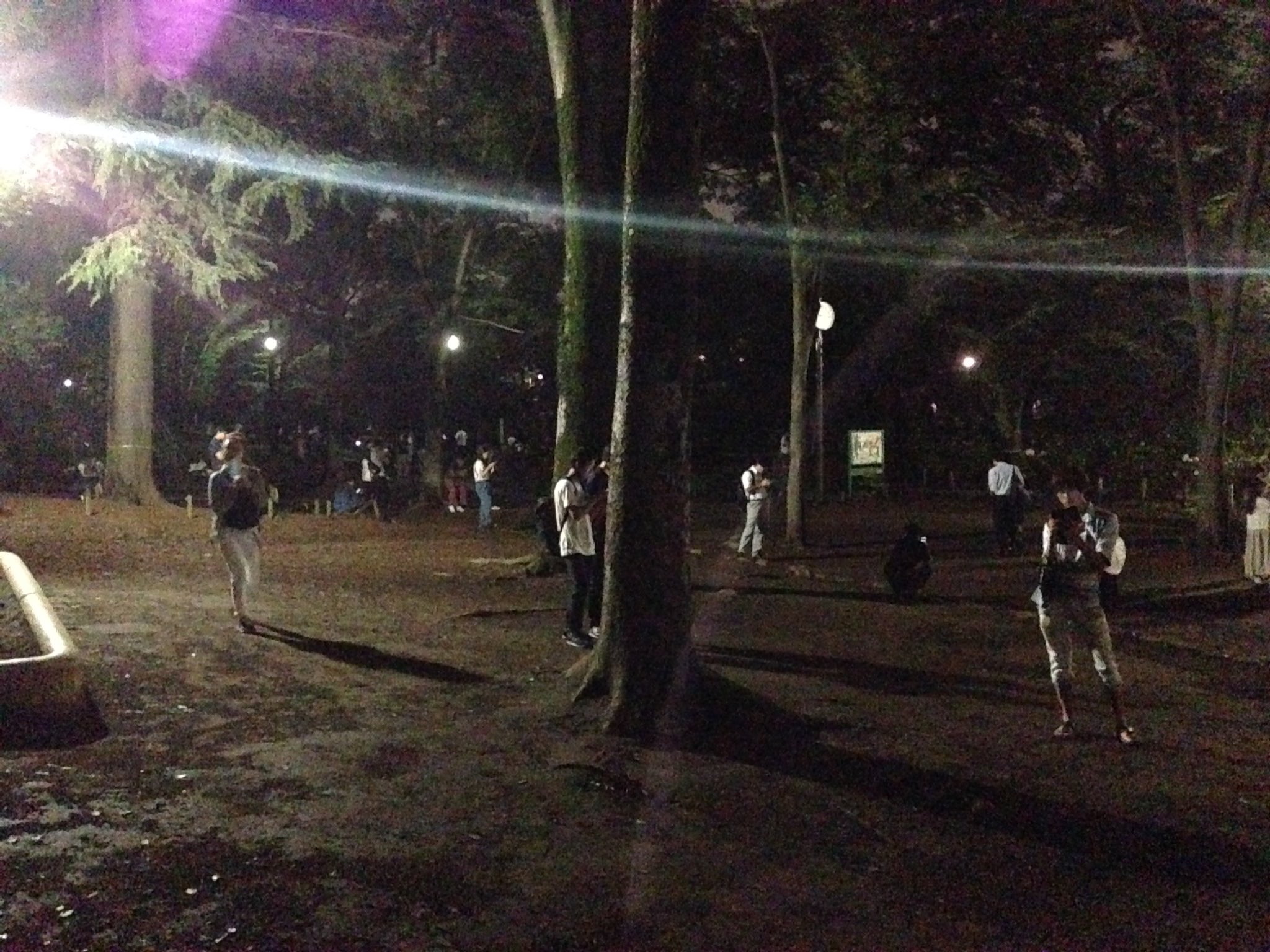 ポケモンgo速報 夜の井の頭公園ｗｗｗｗｗｗポケモンgoやってる人多すぎｗｗｗｗたくさんの人の口からポケモンの名前が飛び交ってんの面白いなｗｗｗｗ T Co M4mfux9qmk Twitter
