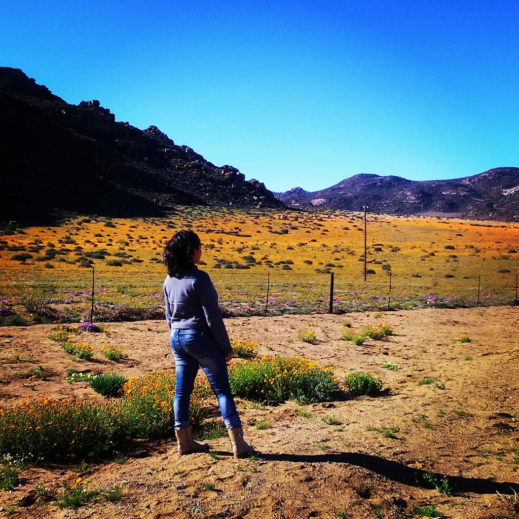 Jessicapsaal's tweet photo. Admiring God's work https://t.co/7PrD4Soc4v