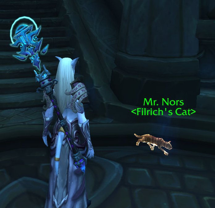 Mittenly's tweet photo. Poor Kitteh! #Legion #SingSoftKitty! https://t.co/Qsp6CP3Ruh
