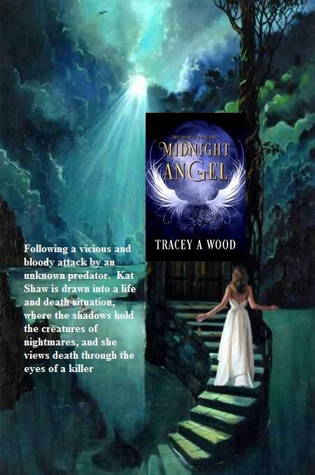 Get a free sample of my debut novel, Midnight Angel and more. buff.ly/2bMioXs #romanceebook #paranormal