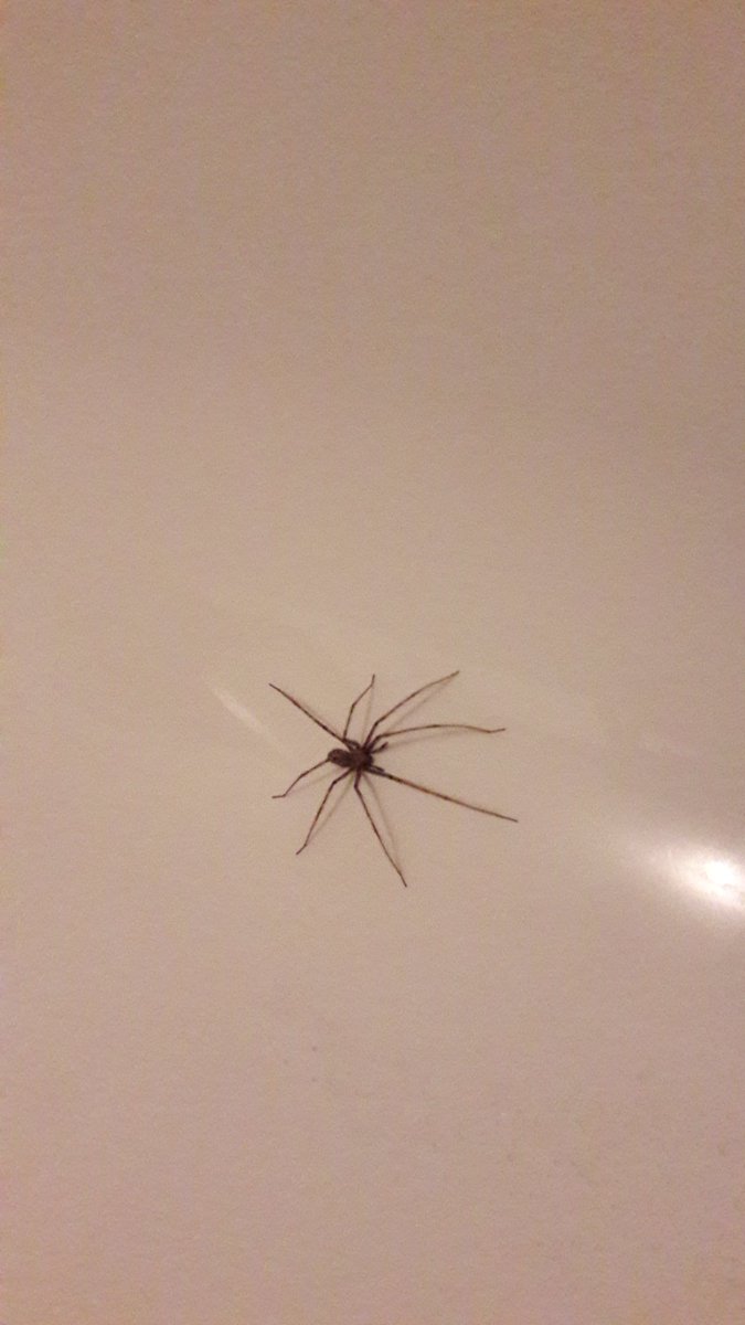 lucrijs's tweet image. Welkom september .....in het bad. ..brrr