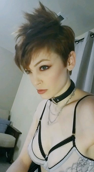 Weeeee fun fauxhawk hair from last night on @realfreewebcams I will be back online tonight! https://t<a class="tags" target="_blank" title="On Twitter" href="/?out=eyJ0eXAiOiJKV1QiLCJhbGciOiJIUzUxMiJ9.eyJpYXQiOjE3MjA3MjM2MTksImlzcyI6InR3cG9ybnN0YXJzLmNvbSIsIm5iZiI6MTcyMDcyMzYxOSwiZXhwIjoxNzUyMjU5NjE5LCJyZWRpcmVjdF91cmwiOiJodHRwczovL3R3aXR0ZXIuY29tL3JlYWxmcmVld2ViY2FtcyJ9.BloZL2ZEGI_Rrbkq-aJgRsUgYmXDjJ8hfTQ8zcQuaPHslemX0co-wtafIjEeVj9LQIE5tKenQpPdQczsKFaB-w">@realfreewebcams</a><a href="/tag/manyvids"class="tags"><span>#manyvids</span></a><a href="/tag/mvsales"class="tags"><span>#mvsales</span></a>