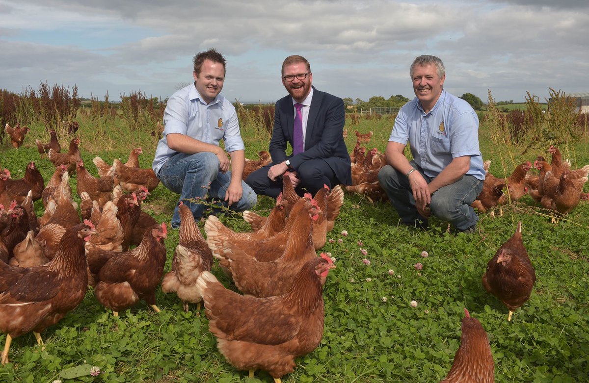 Visiting Carrowdore company Clements Eggs to congratulate them on their success in UK #GreatTasteAwards
