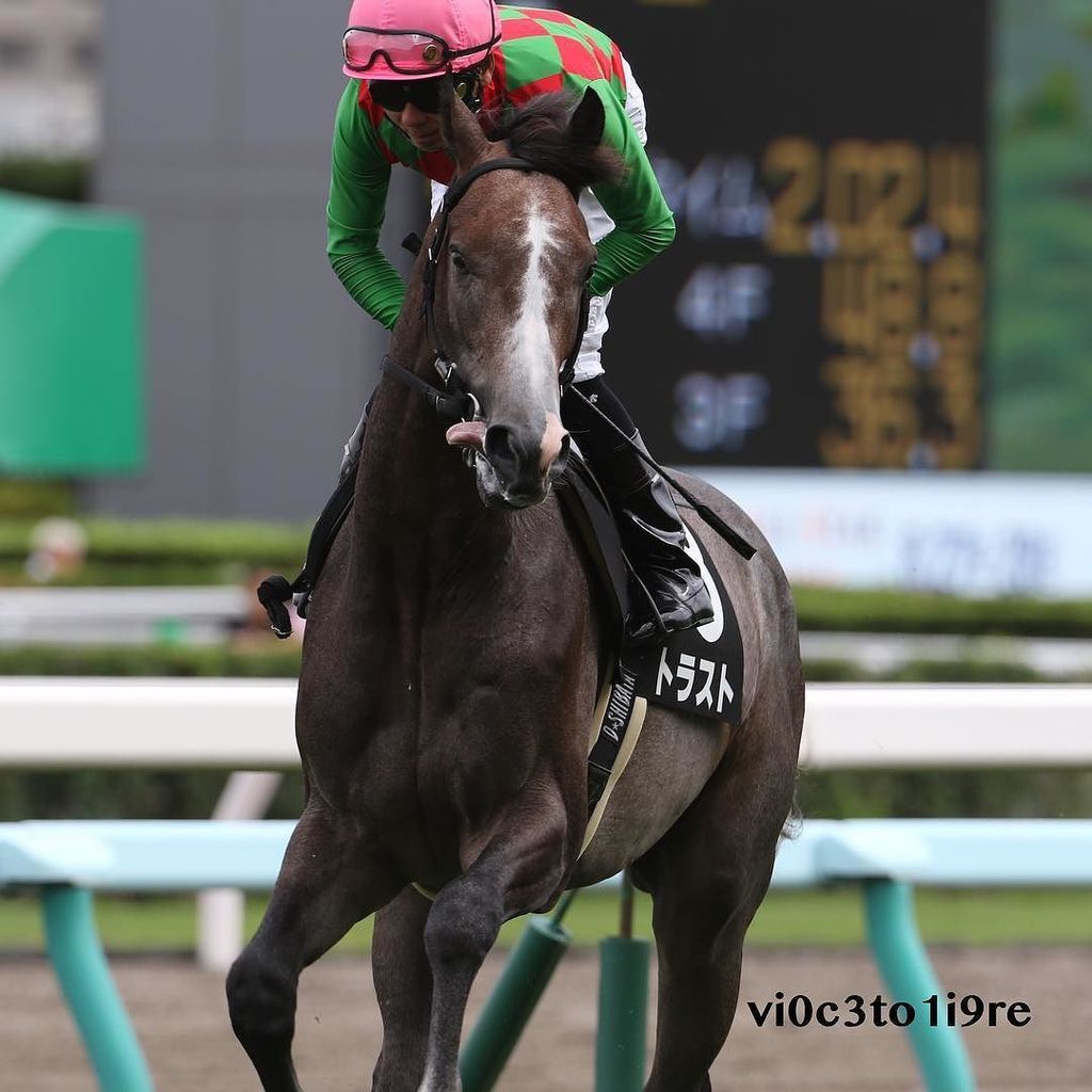Etiqueta クローバー賞 Al Twitter