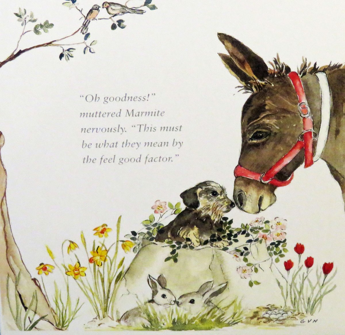 ArtfulTeasing's tweet photo. #fridayfeelgoodfactor #greetingscards from the lovely Ginny Vere Nicoll #wirehaireddachshund @TheLocalPuzzle https://t.co/P5cXW08aHw