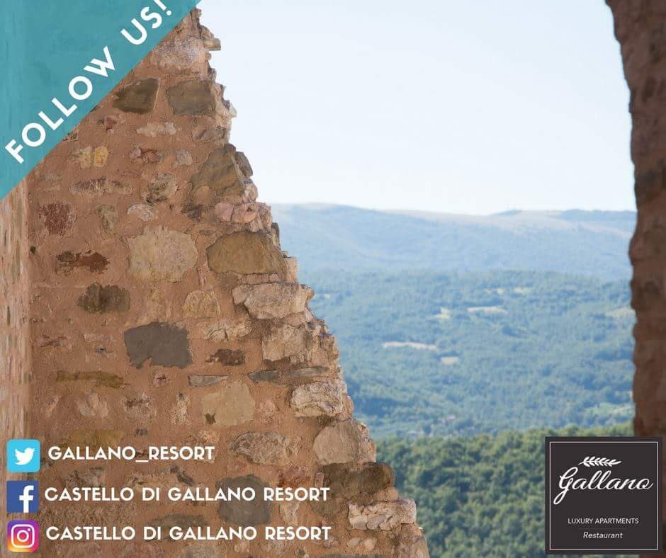 Gallanoresort tweet media