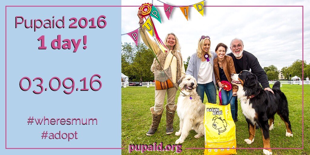 Pup Aid 2026 tweet media