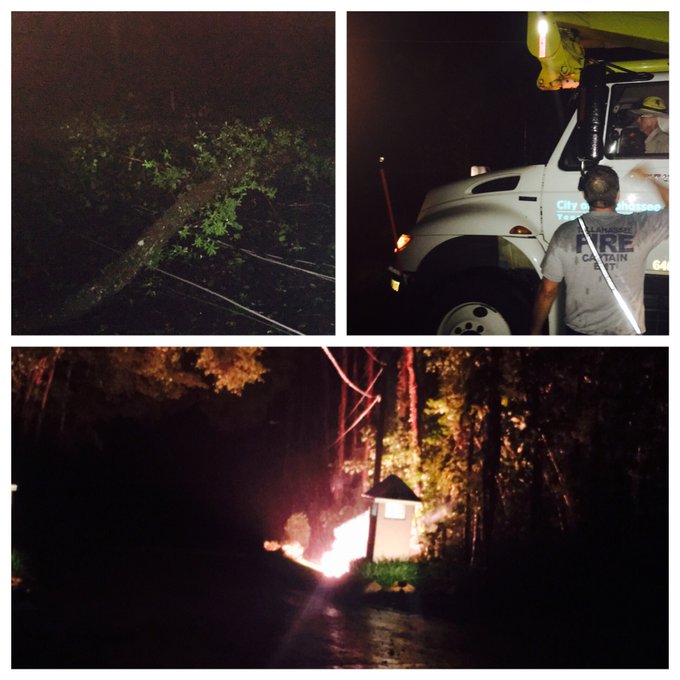 View image on Twitter