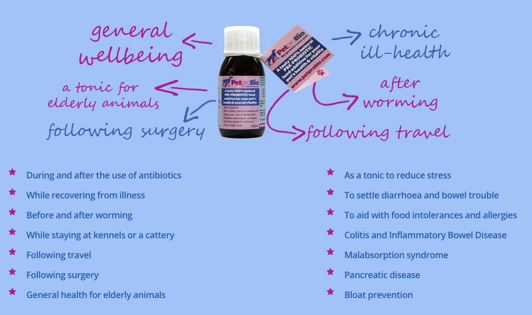 PetproBio's tweet image. There are plenty of reasons to use PetproBio - here are just a few of them!
Learn more: bit.ly/23UXxVH