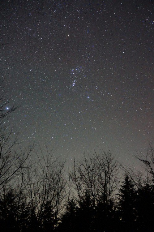 フリー素材ドットコム على تويتر 星空 夜空 こんな写真も無料でダウンロード 商用可能なフリー素材 フリー素材ドットコム T Co Zqpb0gwomp