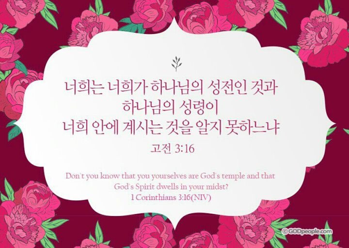 sunny park 선주 (@sunjupark3) on Twitter photo 