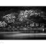 Photo by Cheryl Hamer LRPS (@WBTL1)