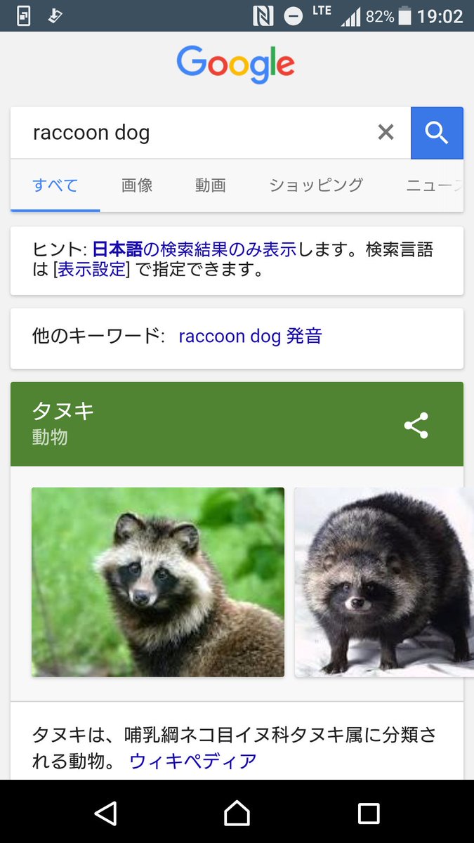 最高かつ最も包括的なraccoon Dog 発音 最高のぬりえ