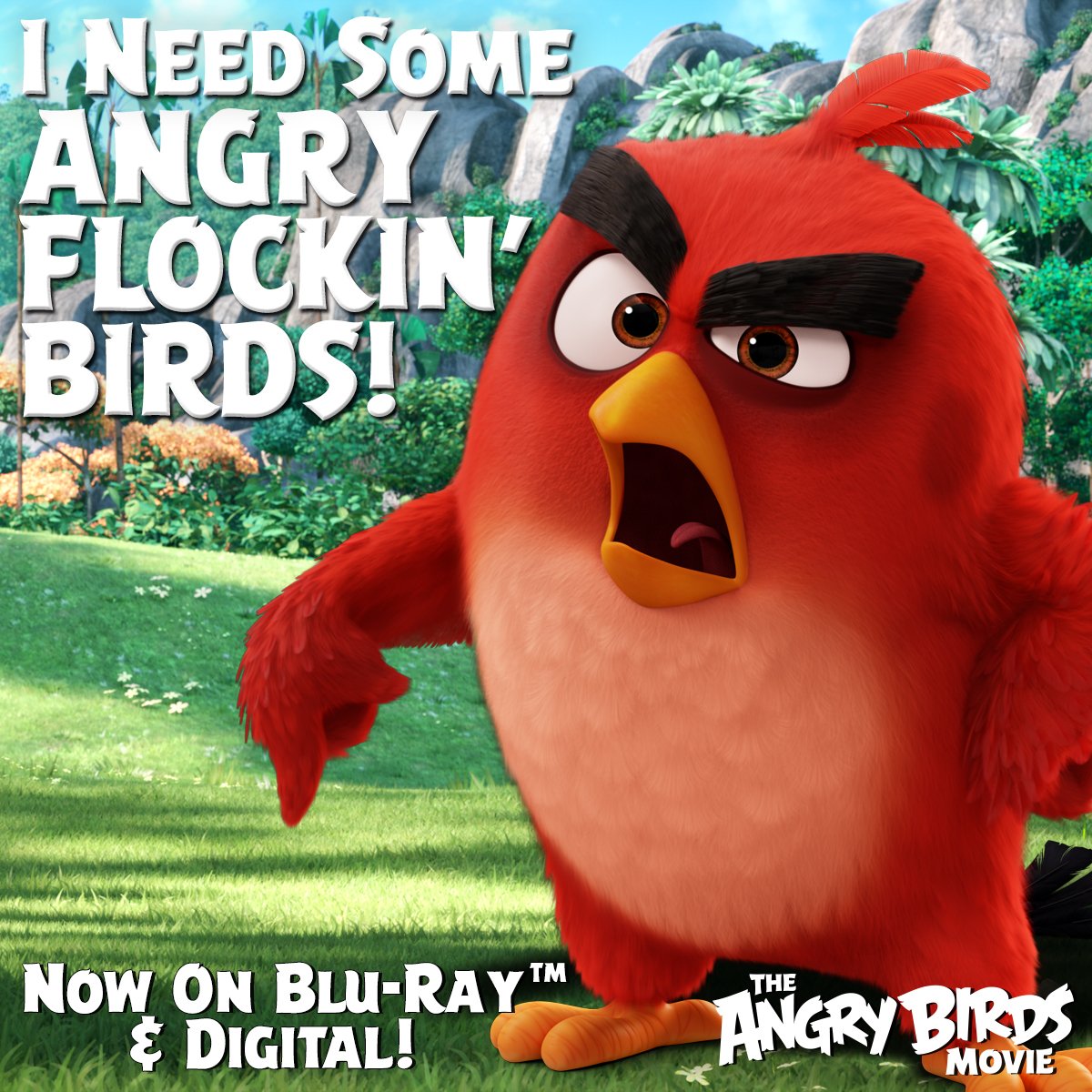 Red The Angry Bird On Twitter See Red Chuck And Bomb Save The Day In Angrybirdsmovie Now Httpstcomvh0krggyd Httpstcobdaelxmyiz Twitter