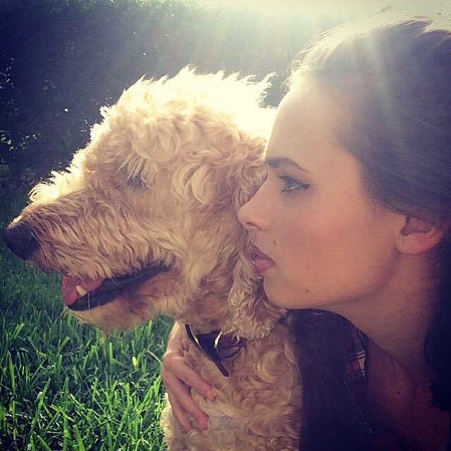 DallasDixieDogs's tweet image. Missing my Dallas today. #RIP my love