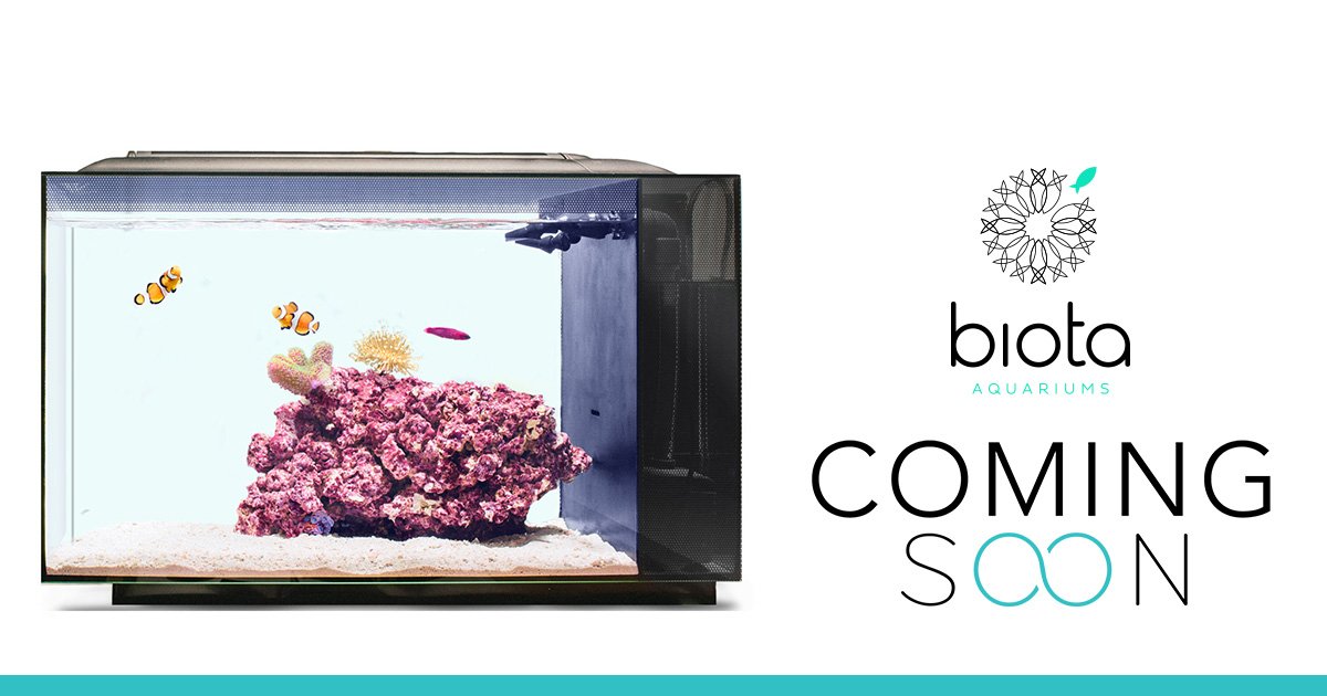 Now on <a href="/ComingSoon_Tech/">ComingSoon</a> | <a href="/BiotaAq/">Biota Aquariums</a> All-In-One 'Smart' Saltwater Aquarium. queue.social/8dgAvNj