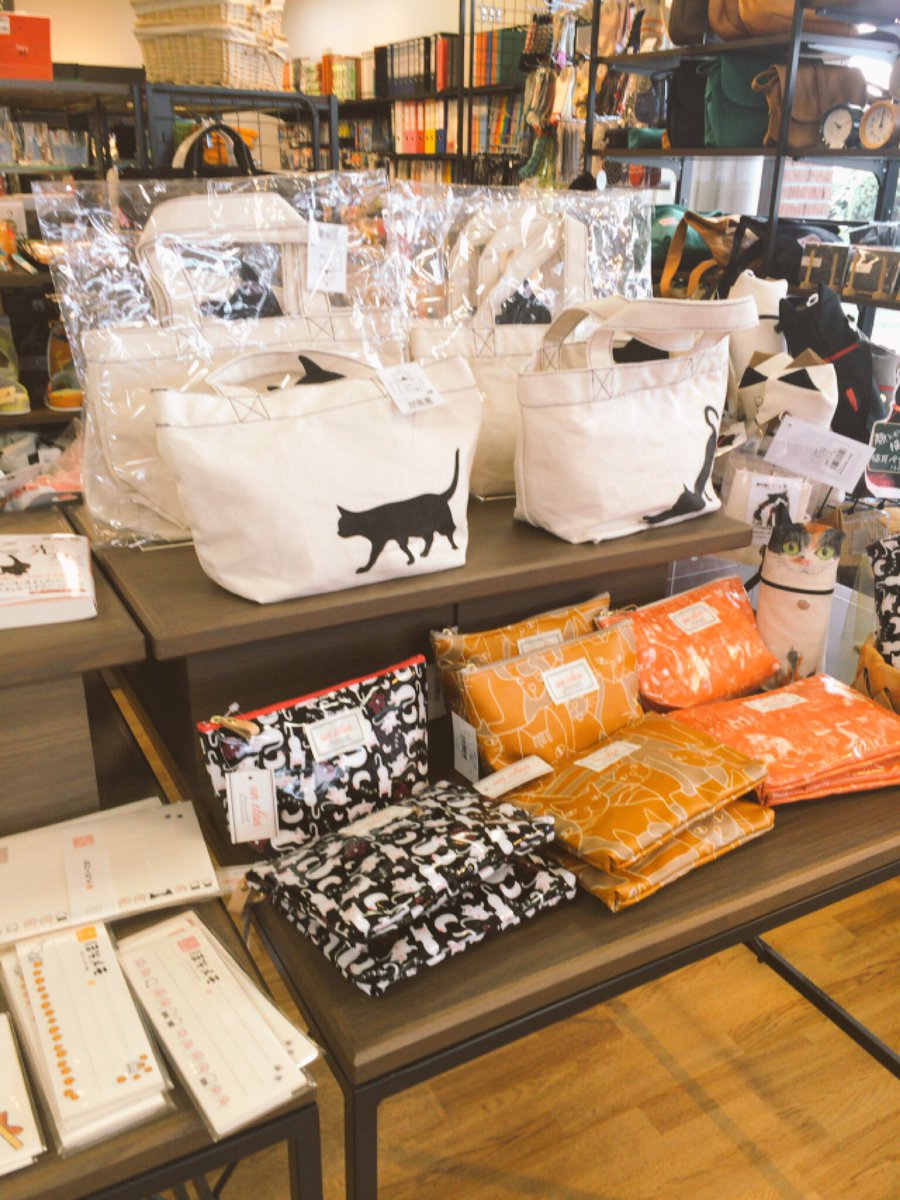 小山のコト على تويتر 小山市の落ち着く場所 進駸堂中久喜本店 探していた本が必ず見つかる 雑貨もね 進駸堂 小山市本屋