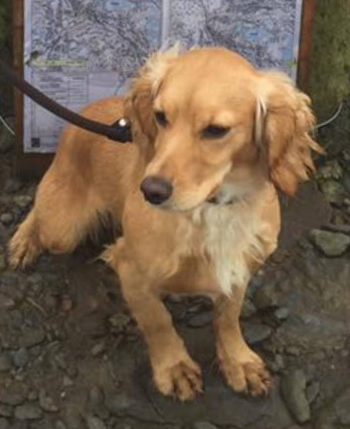 Lostbox - Midlands tweet media