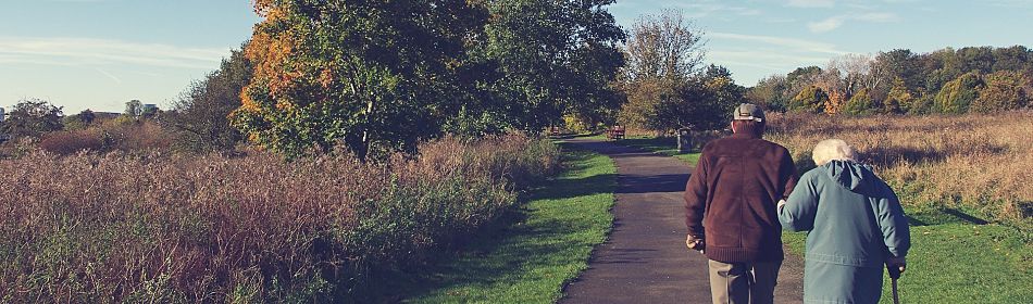 Wizeapple's tweet image. Learn how #VirtualReality can help people to regain movement #health
bit.ly/2bZV1MA